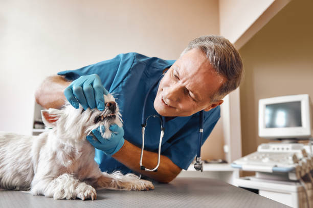 Best Emergency Tooth Extraction in Grandville, MI